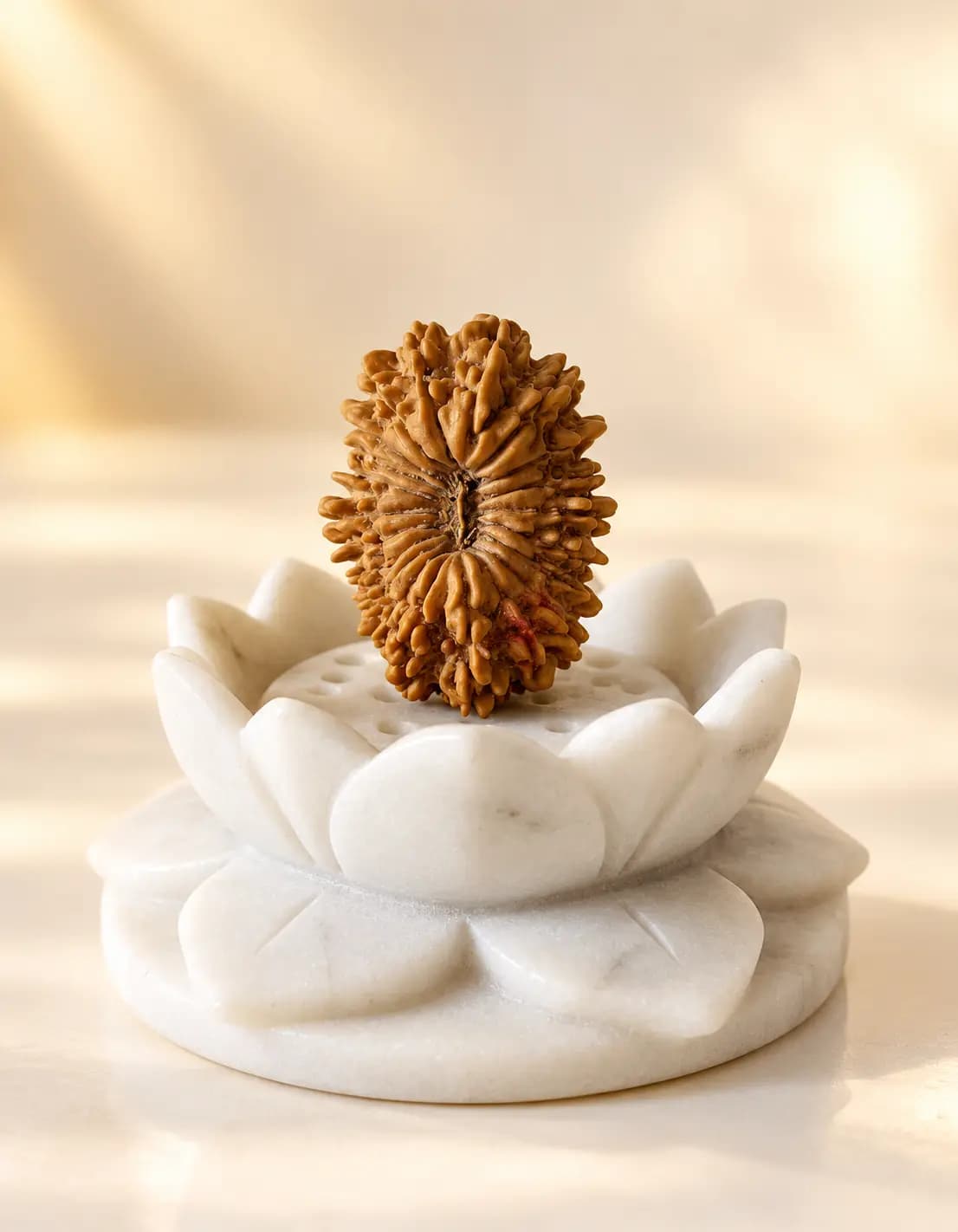 21 Mukhi Nepal Rudraksha