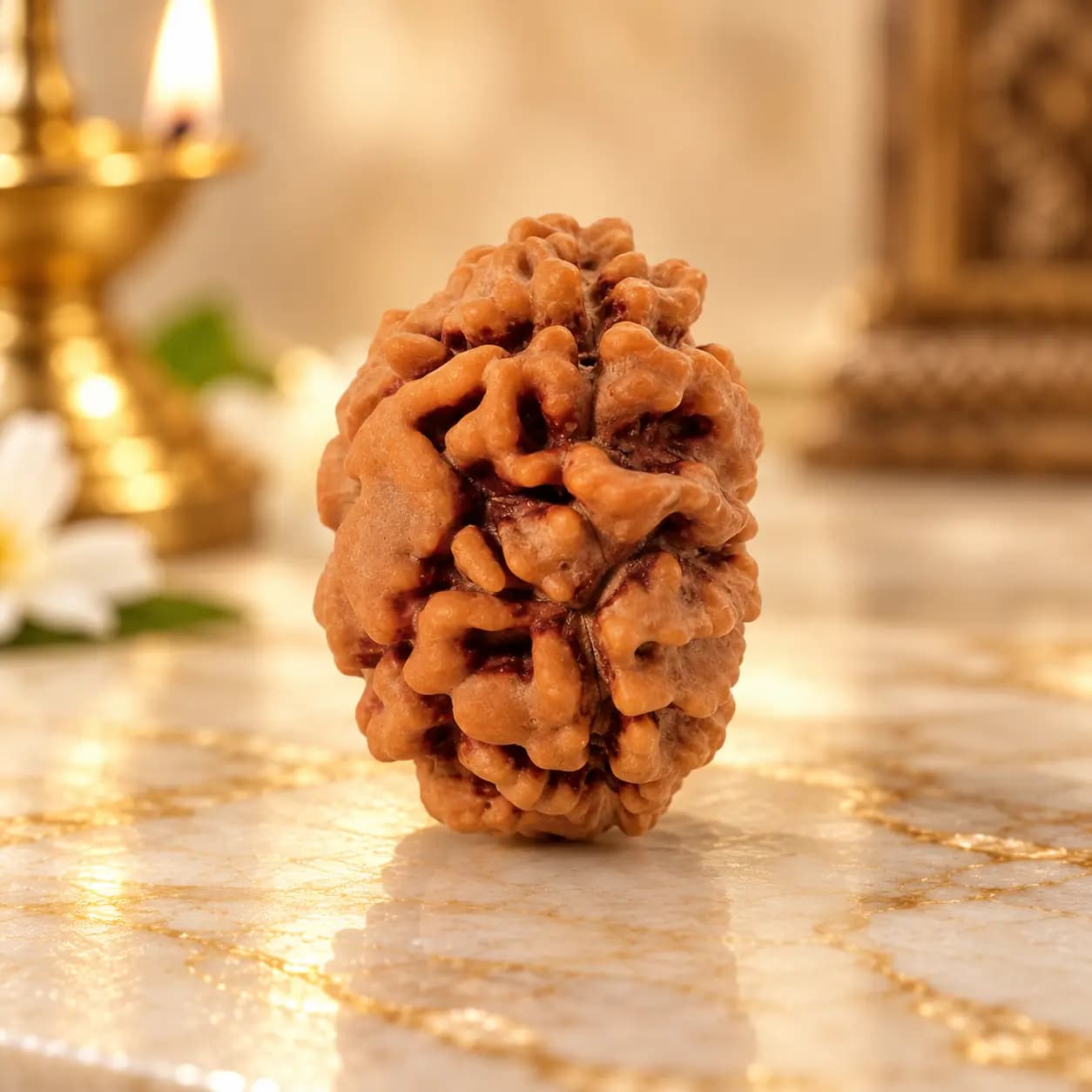 One Mukhi Java Indonesia XXIV