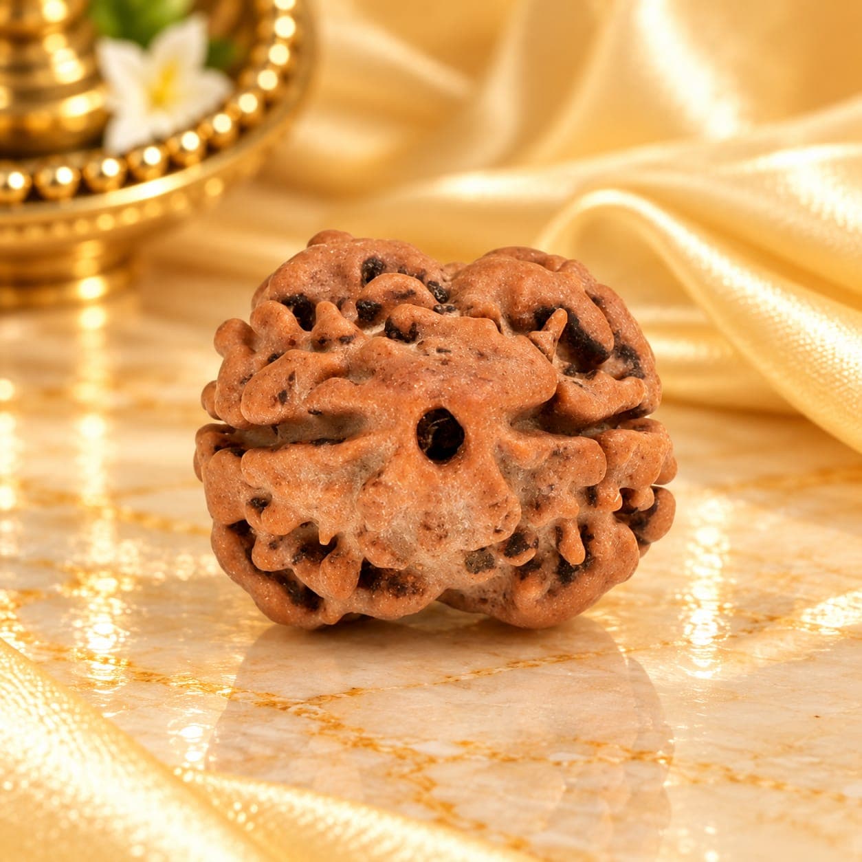 Rare 2 Mukhi from Nepal Small - 3