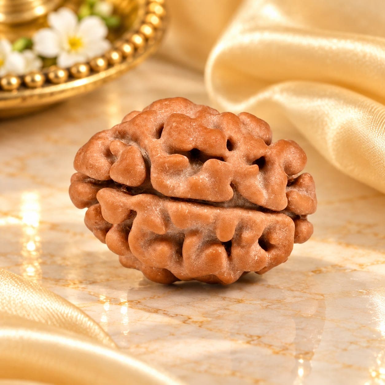 Rare 2 Mukhi from Nepal Small - 5