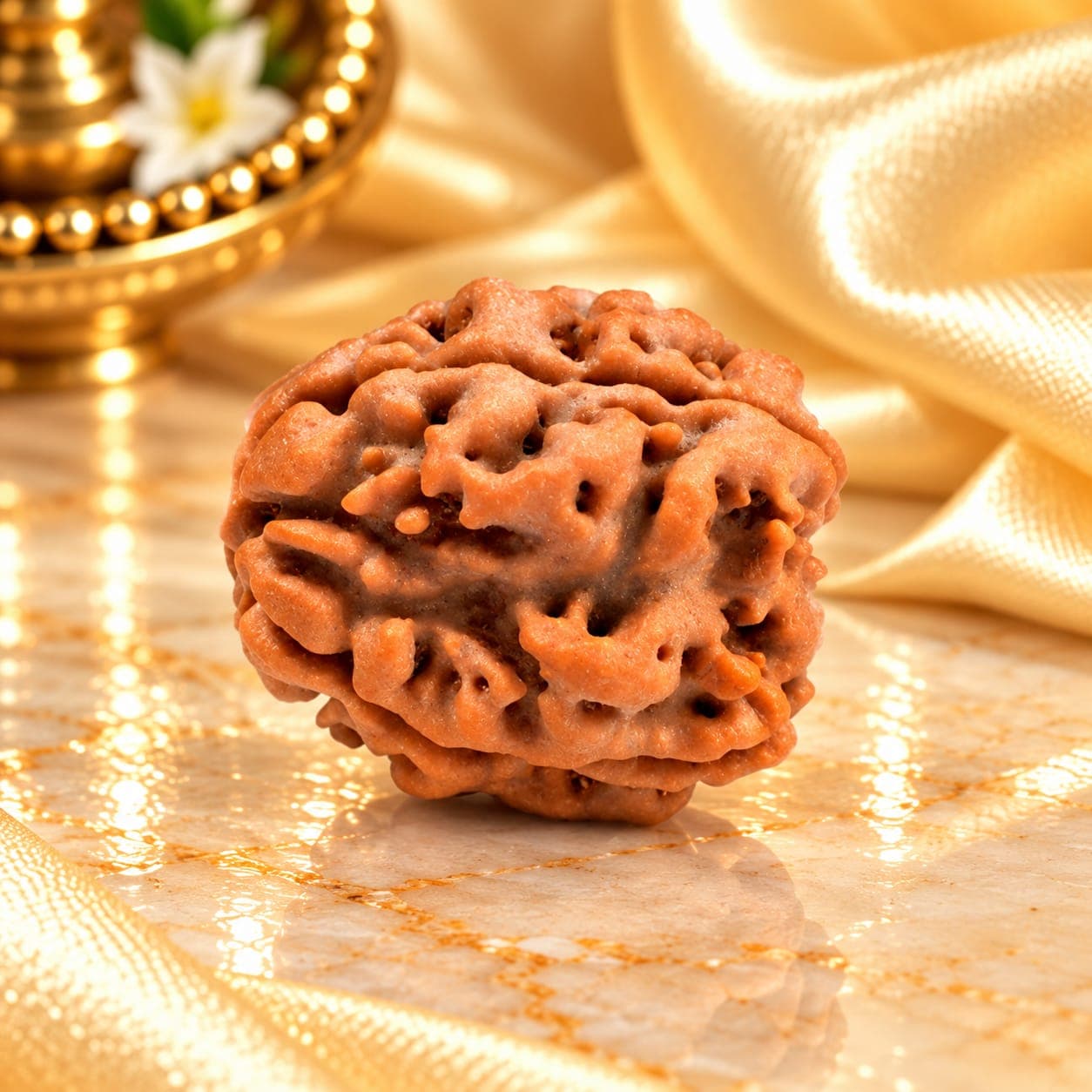 Super Collector 3 Mukhi from Nepal - 7