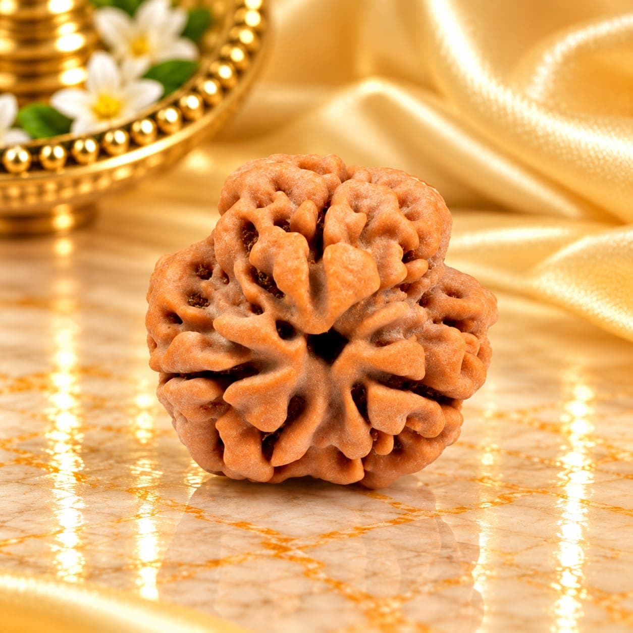 Super Collector 3 Mukhi from Nepal