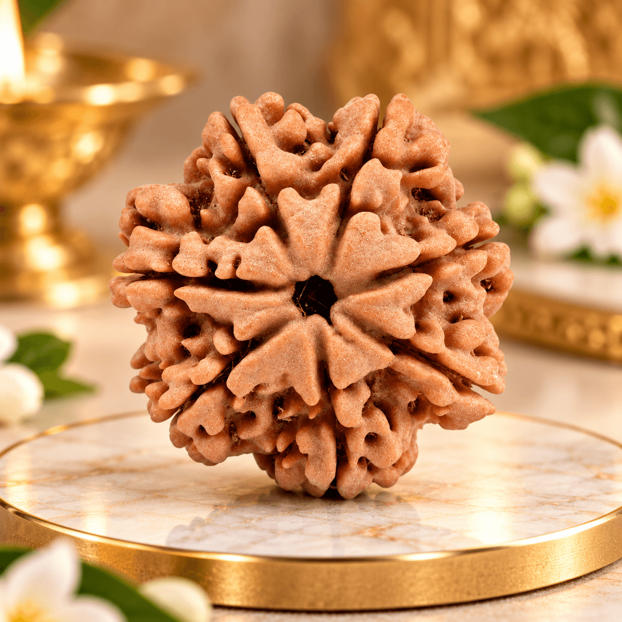 7 Mukhi Nepal Rudraksha Regular 19mm