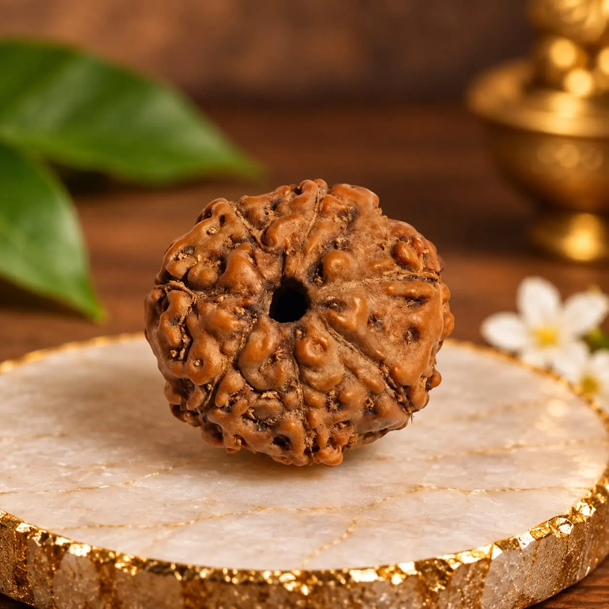 7 Mukhi Java
