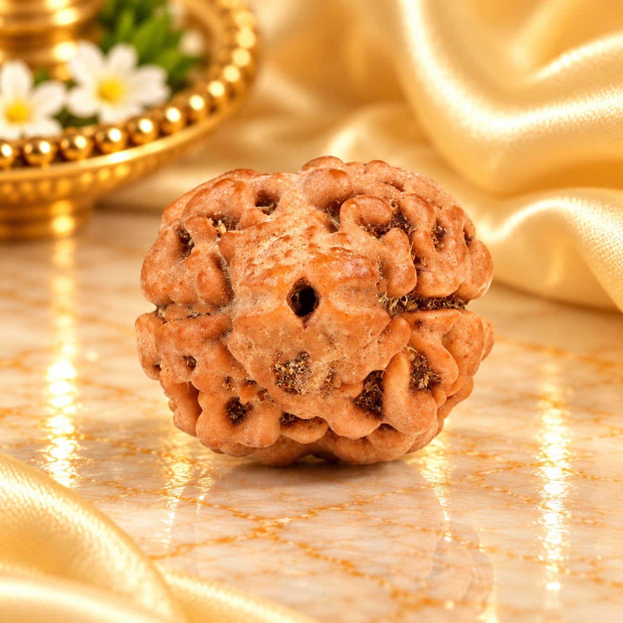 Rare 2 Mukhi from Nepal Small - 4