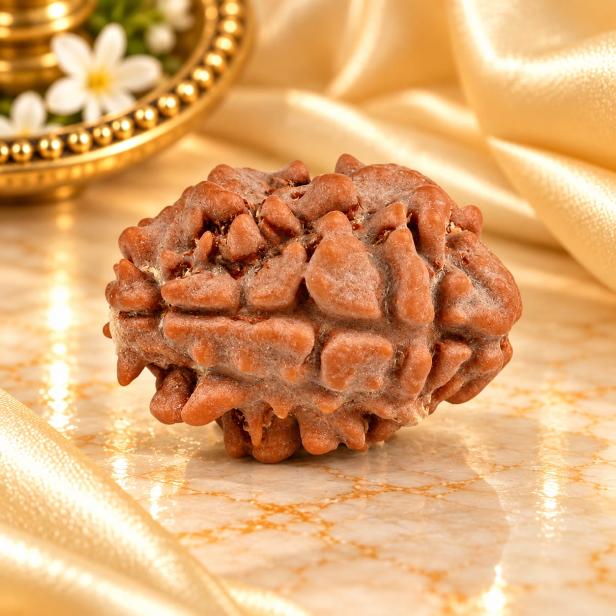 Rare 2 Mukhi from Nepal Small - 6