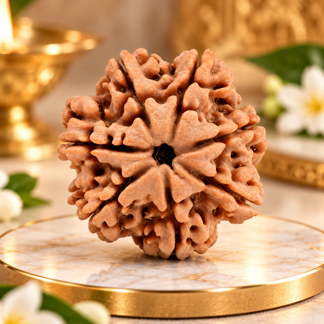 7 Mukhi Nepal Rudraksha Regular 19mm