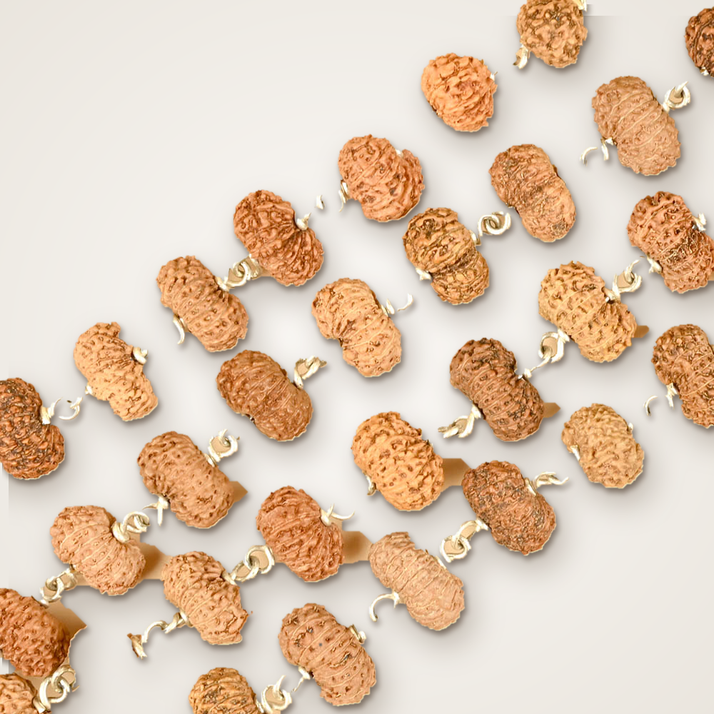 16 Mukhi Rudraksha Mala & Kantha