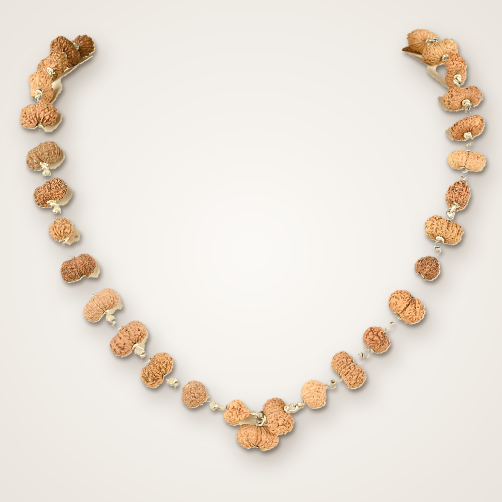 17 Mukhi Rudraksha Mala & Kantha