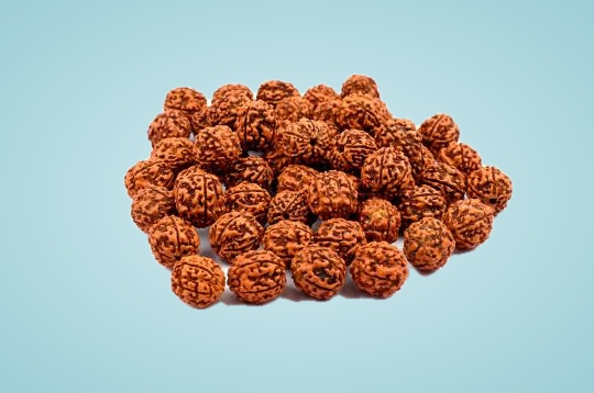 5 Mukhi Java